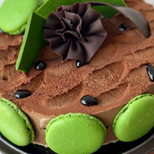Pistachio Cake