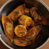 Mussels