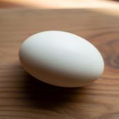 Small Boiled Egg