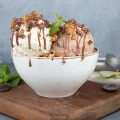 Fried Ice Cream
