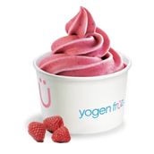 Small Raspberry Flavour Without Toppings