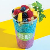 Chia Pudding Fruits
