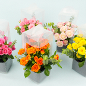 Baby Rose Flower Bag 1 Piece Only