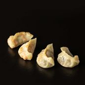 Chicken Gyoza