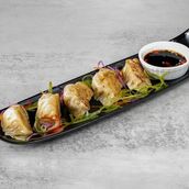 Chicken Gyoza