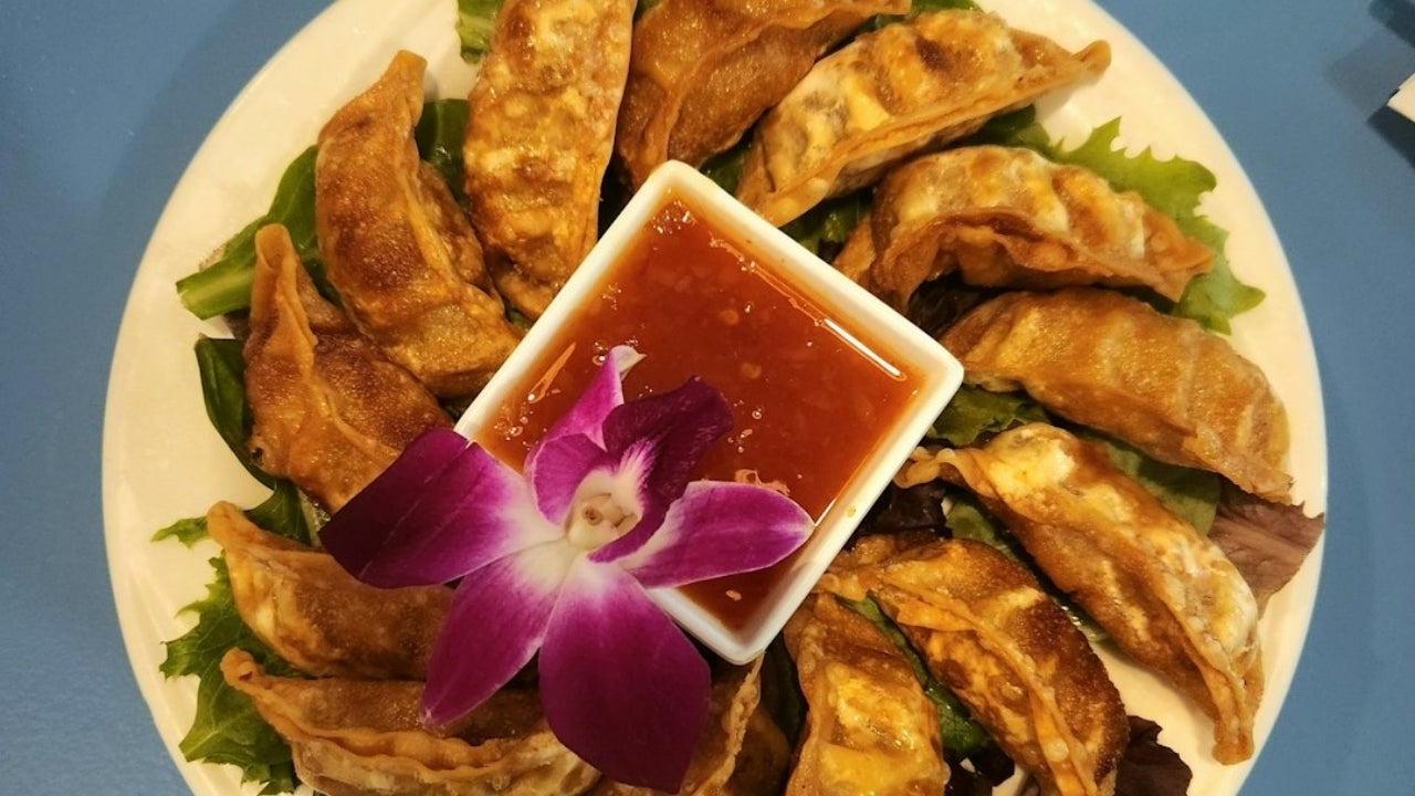 Vegan Gyoza