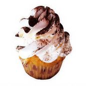 Tiramisu Cupcake
