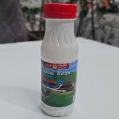 Labab Airan