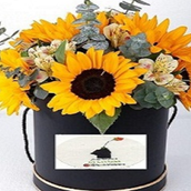 Sunflower In Small Black Box
