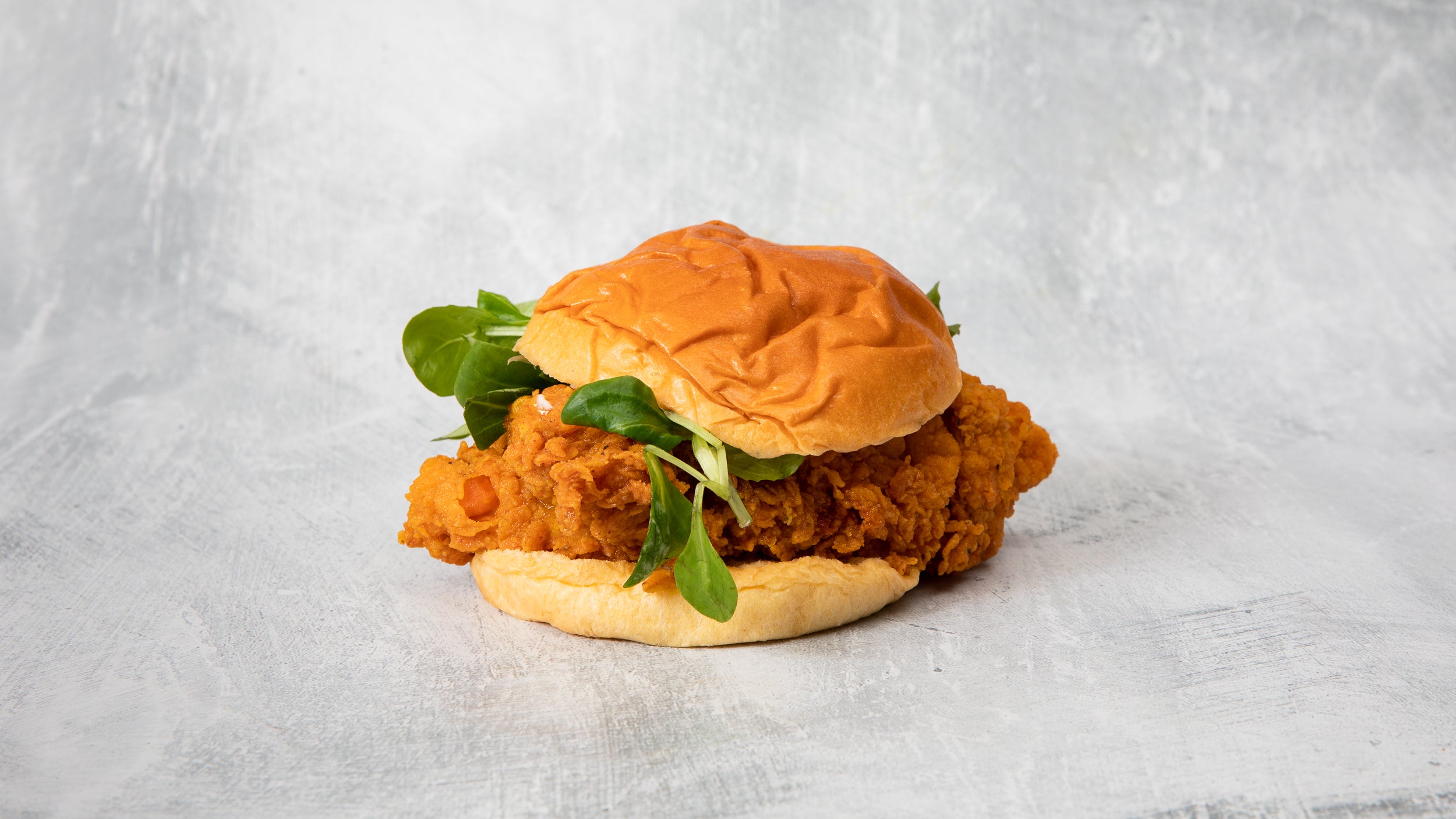 Chicken Burger & Fries