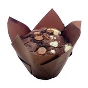 Triple Chocolate S'mores