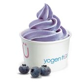 Large Blueberry Flavour Without Toppings