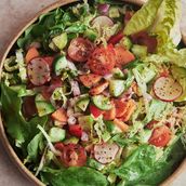 Garden Salad