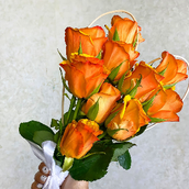 10 Orange Rose Bunch