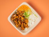 Chicken Plum Bowl