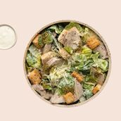 Veg/Chicken Caesar Salad