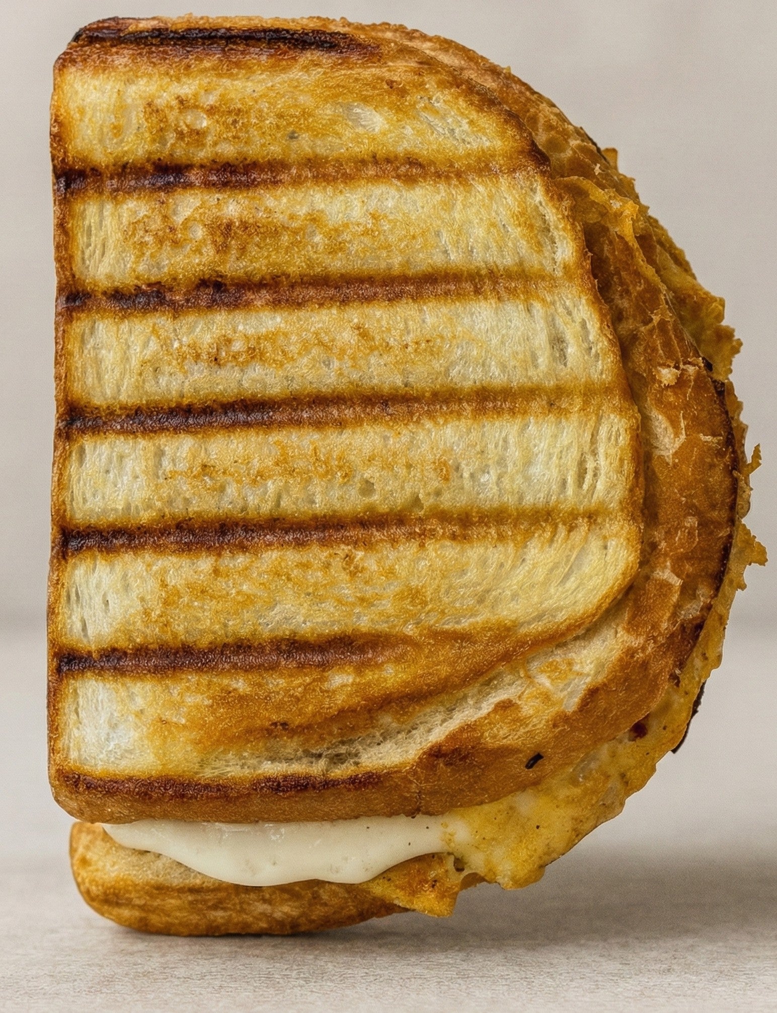 Grilled Chicken Cheese Sandwich