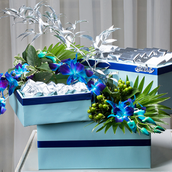 Cool Blue