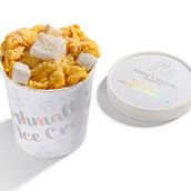 Mango Ice Cream With Gourmet Coconut Marshmallows
