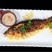 Sea Bass