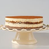 Big Tiramisu