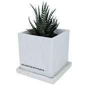 Better with Plants Planter