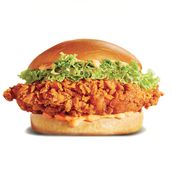 Spicy Chicken Sandwich 30% Off