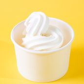 Plain Frozen Yogurt