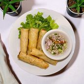 Vegetable Spring Rolls 5pcs
