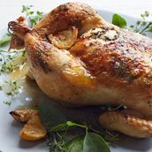 Fresh Chicken