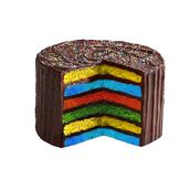 Rainbow Choco [8 inch]