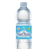 Sant'Anna Natural Mineral Water 500Ml