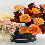 Box Arrangement 0027