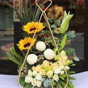Arrangement 6