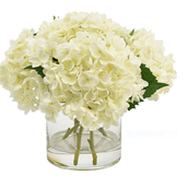 Hydrangea In Vase