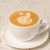 Latte