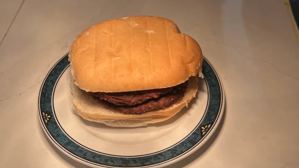 Double Plain Burgers (2) in Bun