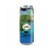 Bottle Blueberry