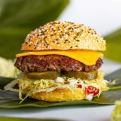 Cheese Burger