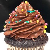 Vanilla And Chocolate Cupcake