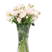 Peach Flowers Vase 504