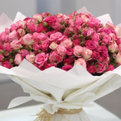 A Selection Of Beautiful Baby Rose Flowers