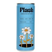 Flash