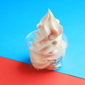 Vanilla Ice Cream
