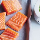 Salmon
