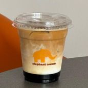 Elephant Shot