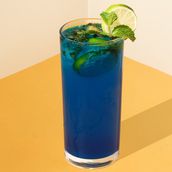 Blueberry Mojito