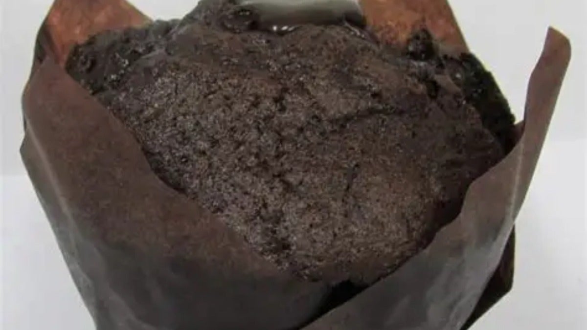 Chocolate Muffin