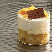Mango Pudding