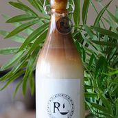Signature Spanish Latte Bottle